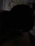 IMG_1447.jpeg