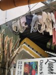 IMG_1646.jpeg