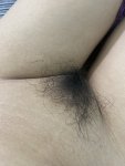 IMG_20241005_093109.jpg