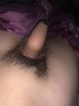 IMG_3272.jpeg