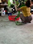 81BE3F71-2048-44D1-B8D4-C23FCE5C146C.jpeg