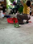 2146E305-68B8-4F4C-BF1A-359874B6BC67.jpeg