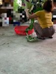 450D4D54-B481-4285-8157-F61472E437D5.jpeg