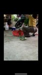1281E3AE-616A-43E9-8B58-0C7B1CE12D81.jpg